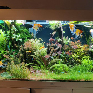450L