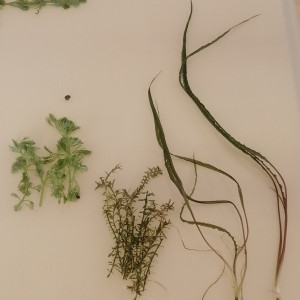 Publication de Aquagarden83