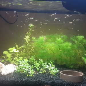 Nursery