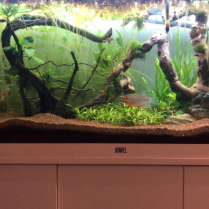 Aquarium 180L