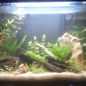 Aquarium 57l