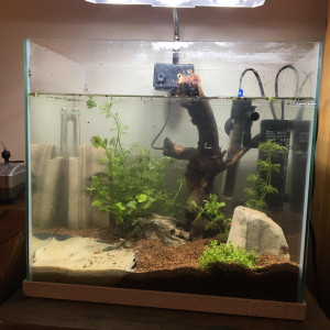 30 litre combattant
