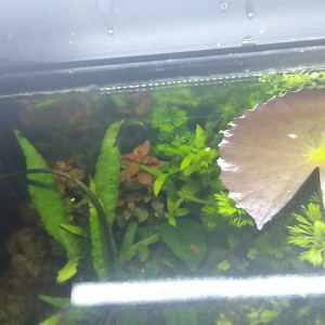 Publication de Aquagarden83