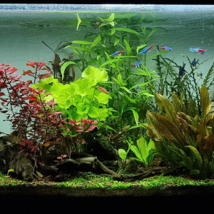 120l
