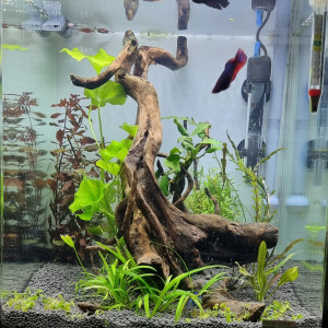 30l