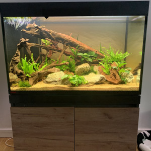 Publication de Alex69