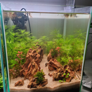 aqua clair 20L