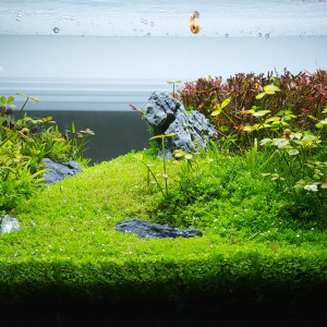 Publication de AwesomeSince82