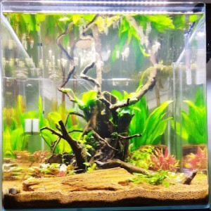AMTRA 90L
