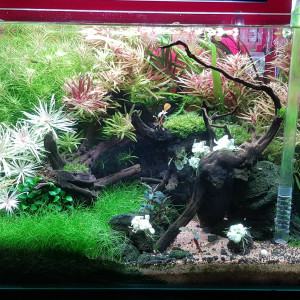 70L