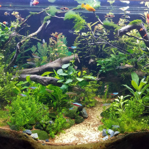 360 l