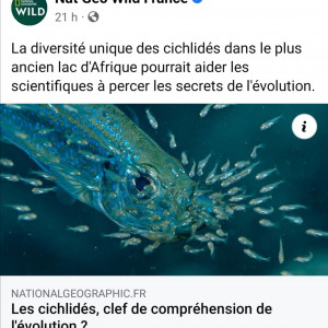 Publication de Kaeris