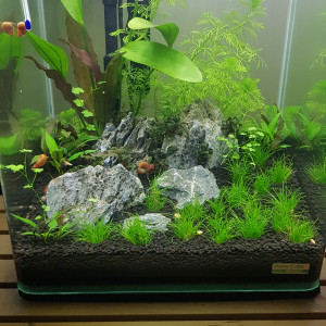 nano cube