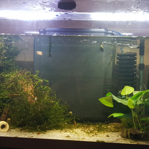 Aqua 50L