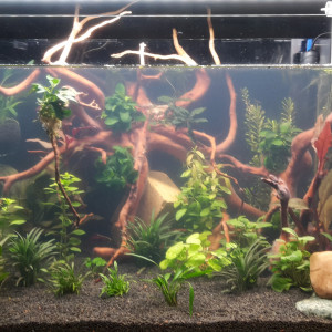 superfish scaper 90