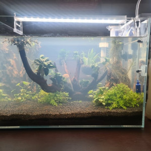 superfish scaper 45
