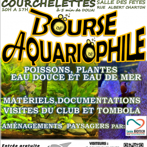Publication de arthur-dms