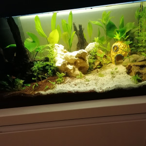 First