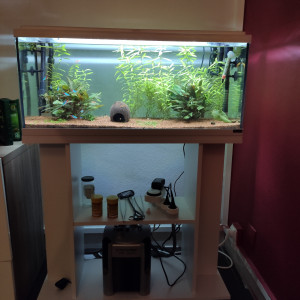 1er Aquarium