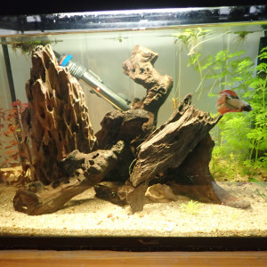 biotope4