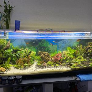 380l