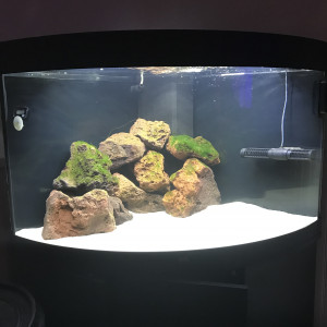 Juwel trigon 190