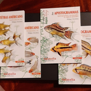 Publication de Wanda