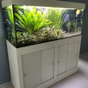 Aquarium Lacobel blanc
