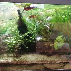 Publication de Aquagarden83