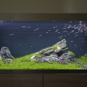 Oase highline 400