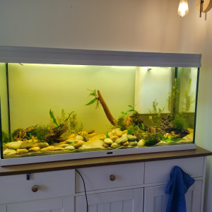 Publication de Bouclette