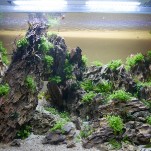 Publication de percy8