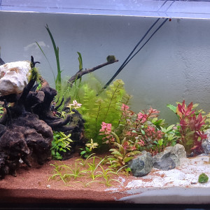 360L
