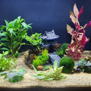 Fluval 57l