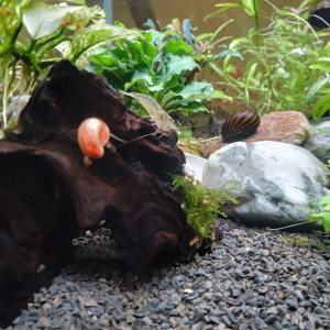 Publication de yann-guillo