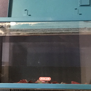 Aquarium naturel