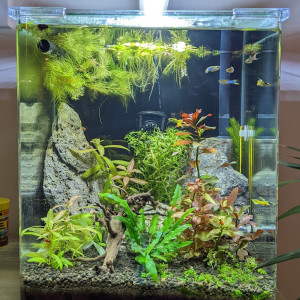 Nano cube 30 Blau