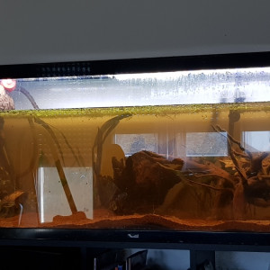 Aquarium