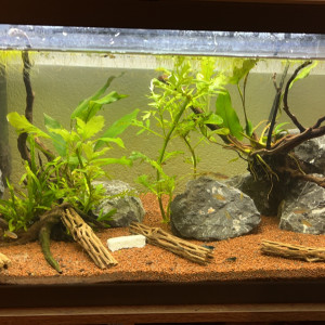 Aquarium GALAXY