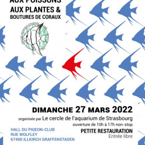 Bourse aux poissons 2022