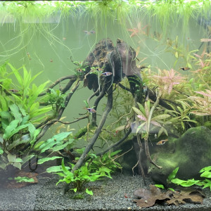 Publication de Hugz7