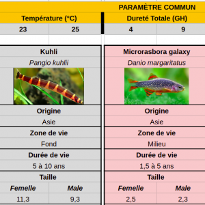 Publication de AntonyM
