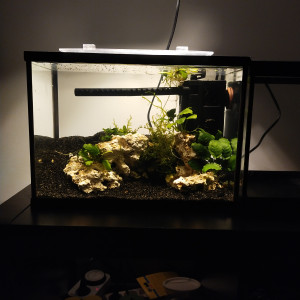 Aquarium 20L