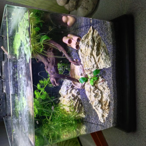 Aquarium 25L