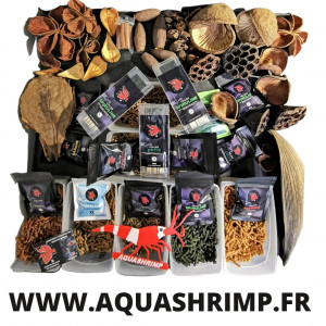 Publication de Anthony55300