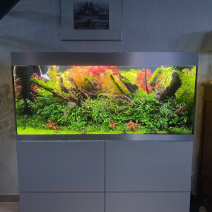 300L NA Aquascaping communautaire