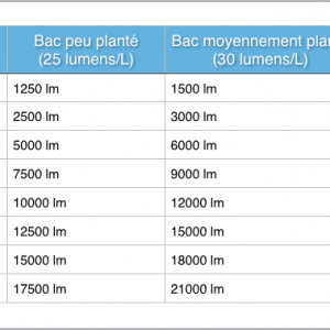 Publication de mindedman