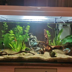 Aquarium zolux