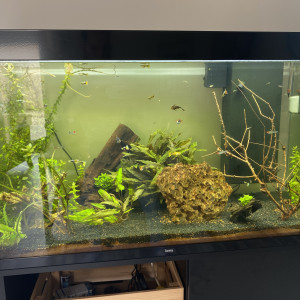 Aquarium