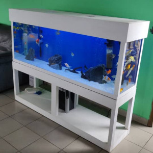 Aquarium